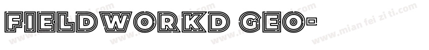 Fieldworkd Geo字体转换